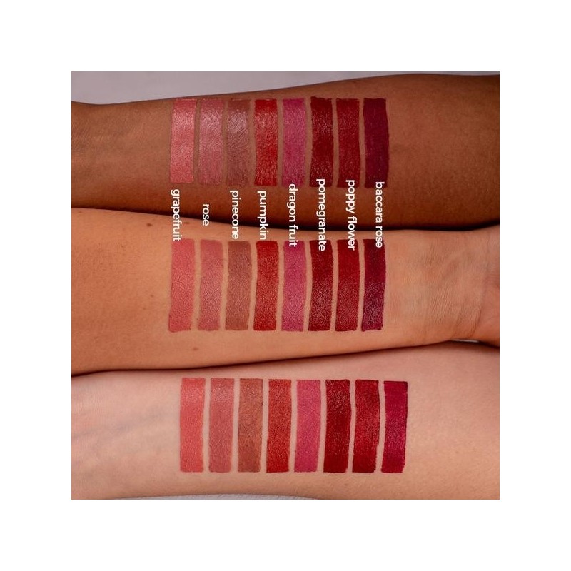Barra de Labios Pumpkin GRN 4 gr 2