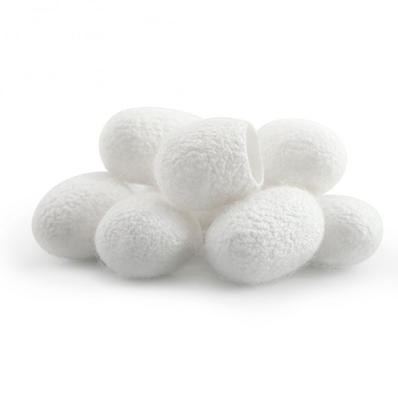 Capullos de seda ACEMELIA 5 uds