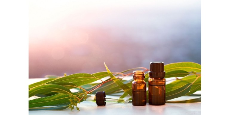 Aceite esencial de eucalipto: Beneficios y usos
