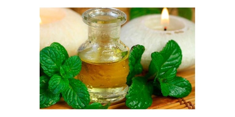 Usos y beneficios del aceite esencial de menta